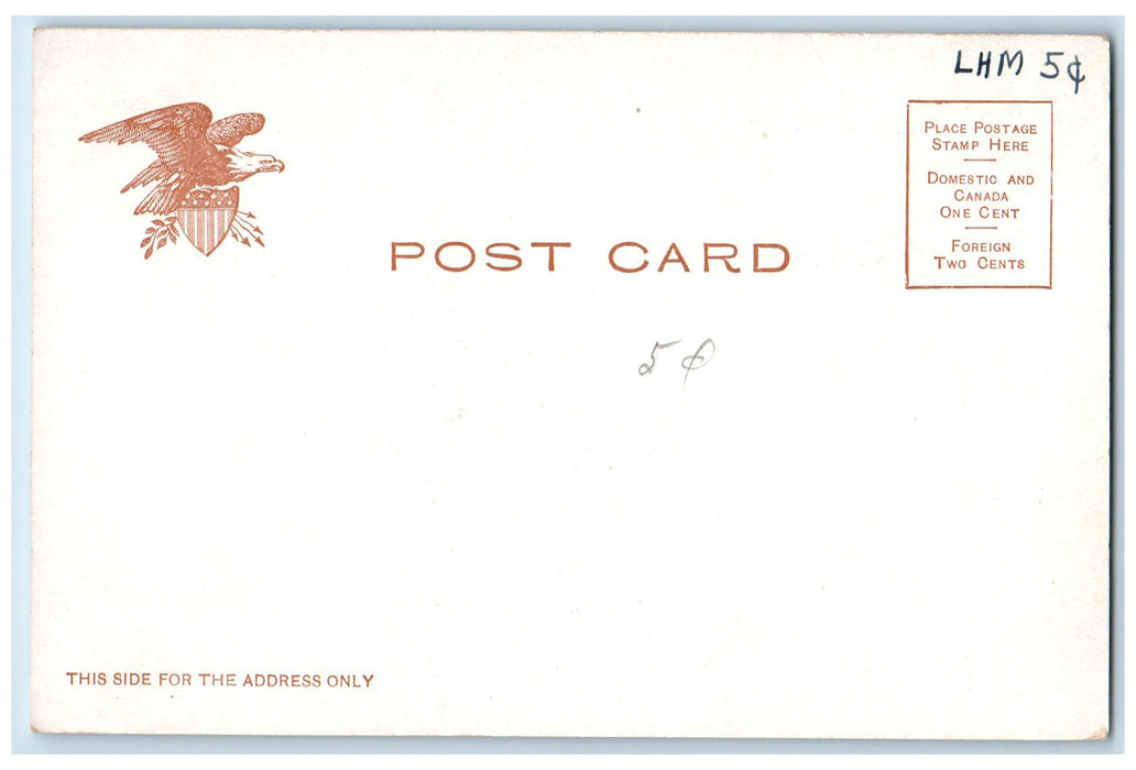 c1905 Elevated R.R Curve At 110th Street Train Railroad New York Postcard