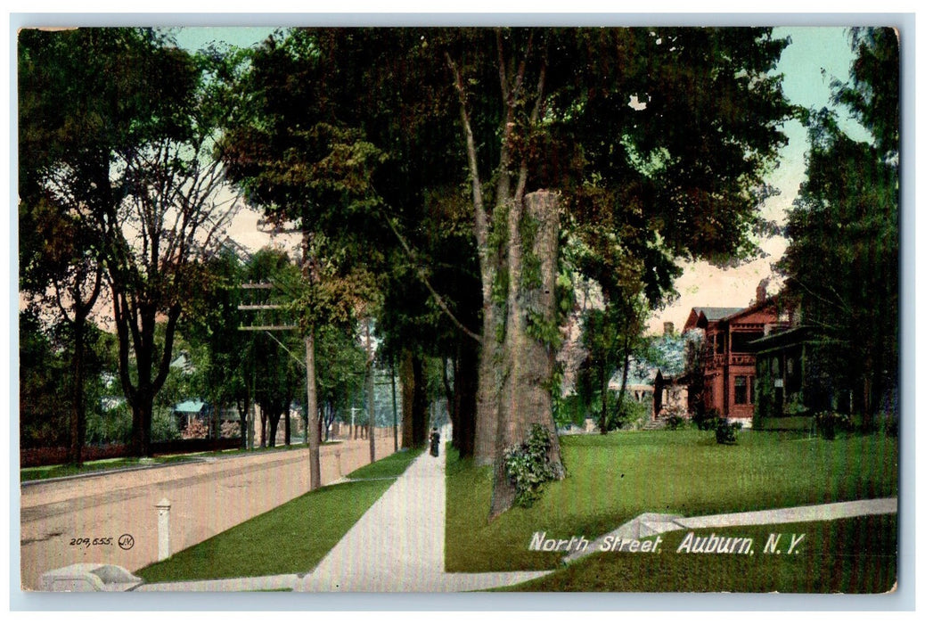 1909 North Street Tree-lined Scene Auburn New York NY Antique Posted Postcard