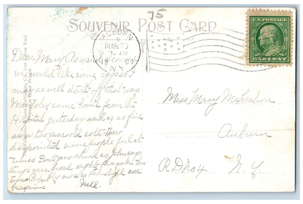 1909 North Street Tree-lined Scene Auburn New York NY Antique Posted Postcard