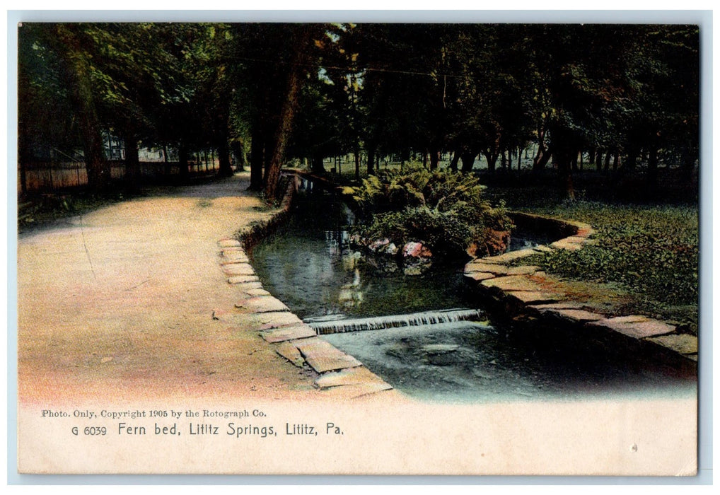 1909 Scenic View Of Fern Bed Lititz Springs Pennsylvania PA Rotograph Postcard