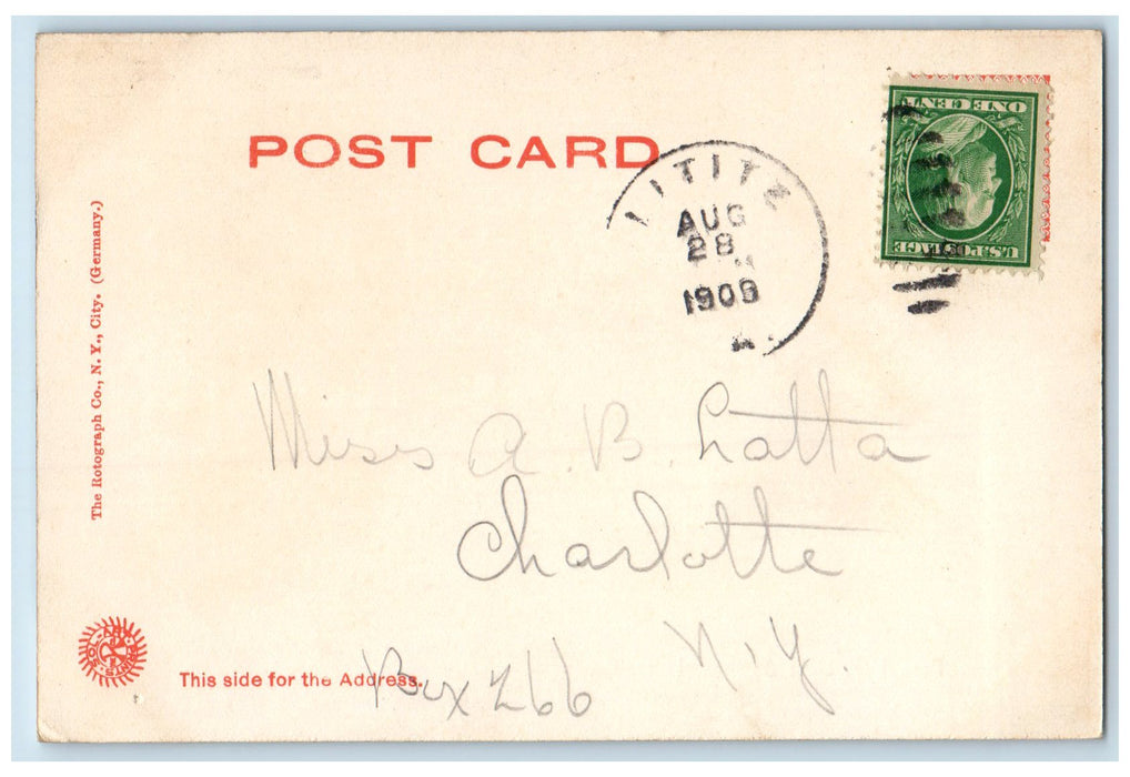 1909 Scenic View Of Fern Bed Lititz Springs Pennsylvania PA Rotograph Postcard