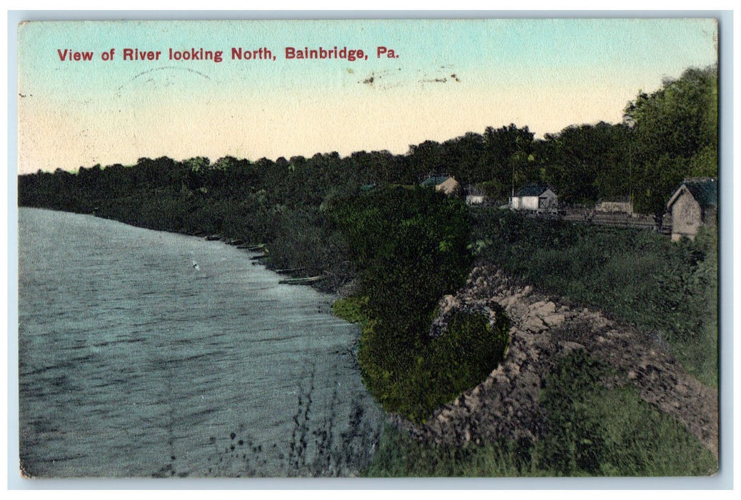1909 Scenic View Of River Looking North Bainbridge Pennsylvania PA Postcard