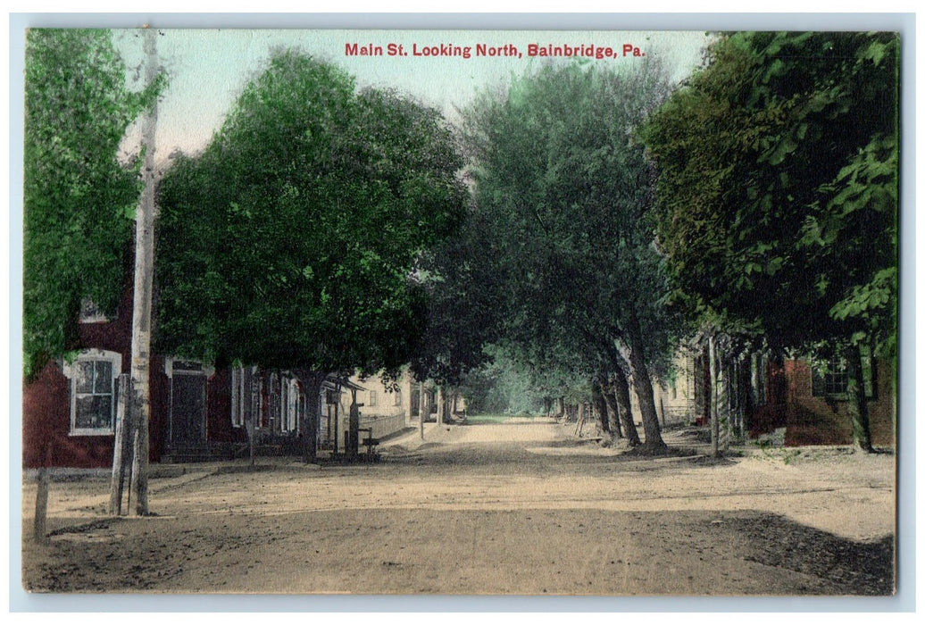 1909 Main Street Looking North Tree-lined Bainbridge Pennsylvania PA Postcard