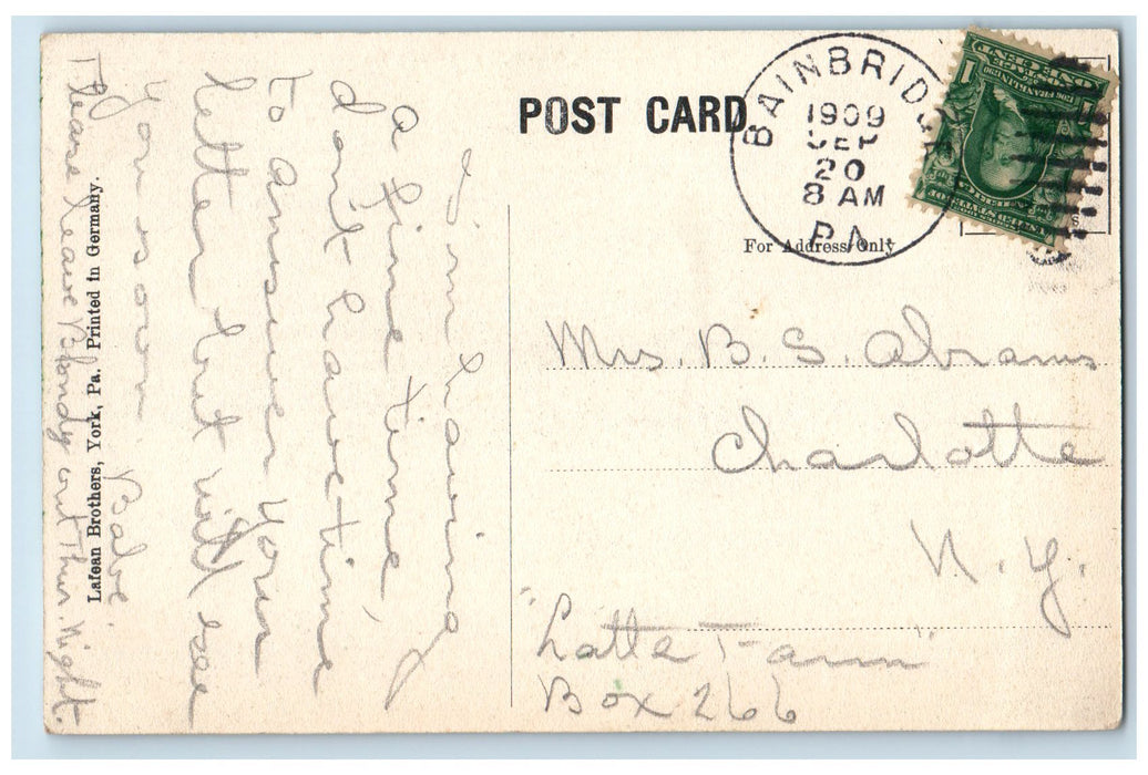 1909 Main Street Looking North Tree-lined Bainbridge Pennsylvania PA Postcard