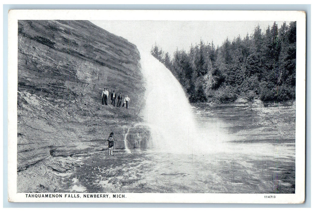 Scenic View Of Tahquamenon Falls Newberry Michigan MI, Nature View Postcard