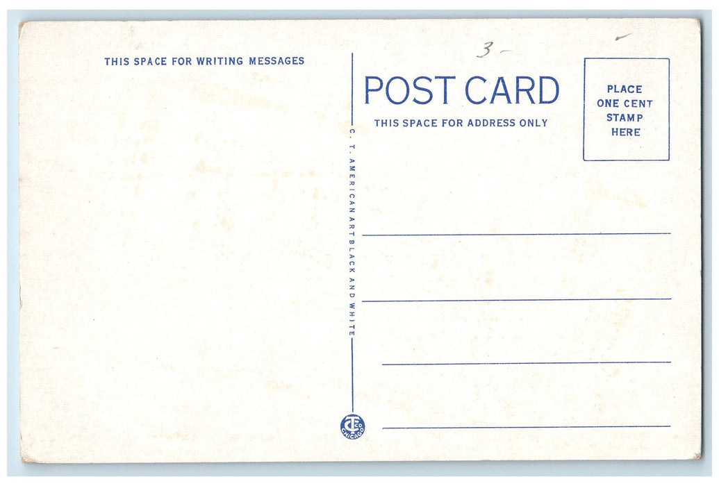 Scenic View Of Tahquamenon Falls Newberry Michigan MI, Nature View Postcard