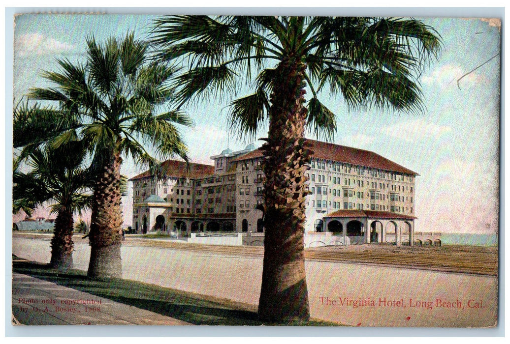 1909 The Virginia Hotel Tree-lined Exterior Long Beach California CA Postcard