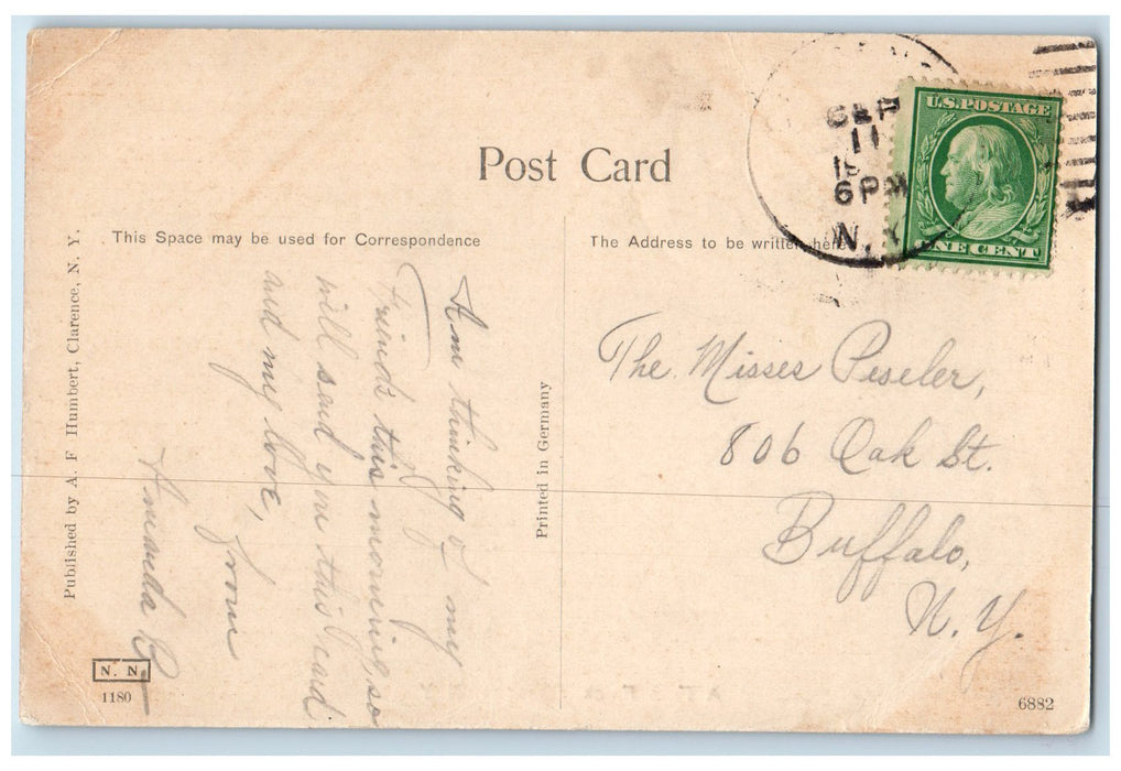c1910's A Fine Flock Sheep Animals Farm Clarence New York NY Antique Postcard
