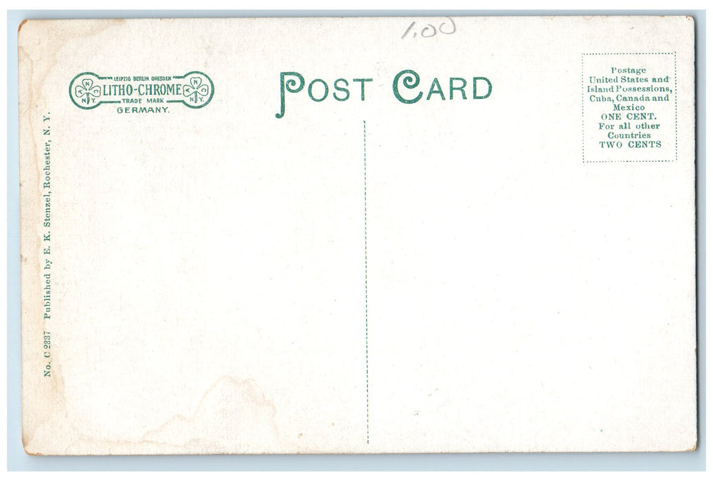 c1910's St. Mary's Church And Convent Rochester New York NY Antique Postcard