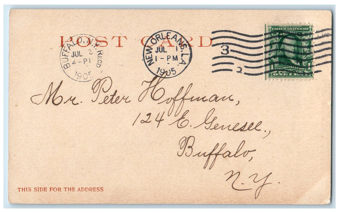1905 Washington Oak Audubon Park New Orleans Los Angeles LA Posted Postcard