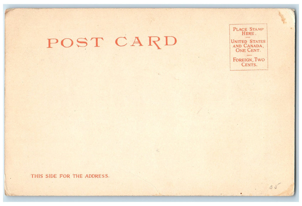 c1905's Old And New Medical Building University Of Michigan MI Posted Postcard