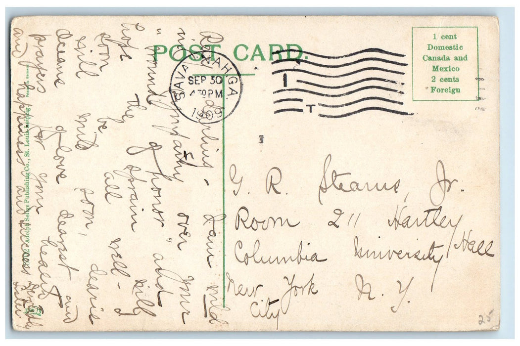 1909 View Of Harvesting Farmer Farmland Savannah Georgia GA Antique Postcard