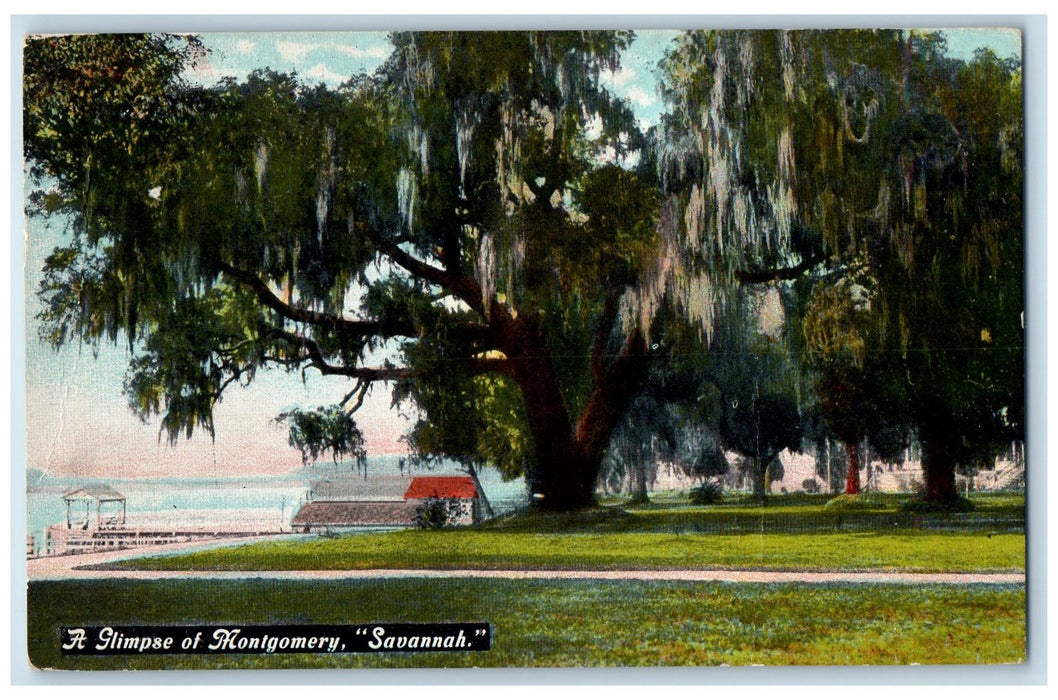 1909 A Glimpse Of Montgomery Nature Scene Savannah Georgia GA Antique Postcard
