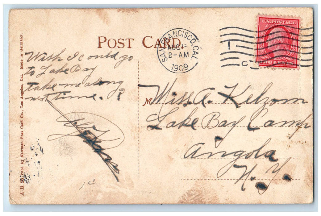 1909 Poinsettia Portola Festival Advertising California San Francisco Postcard
