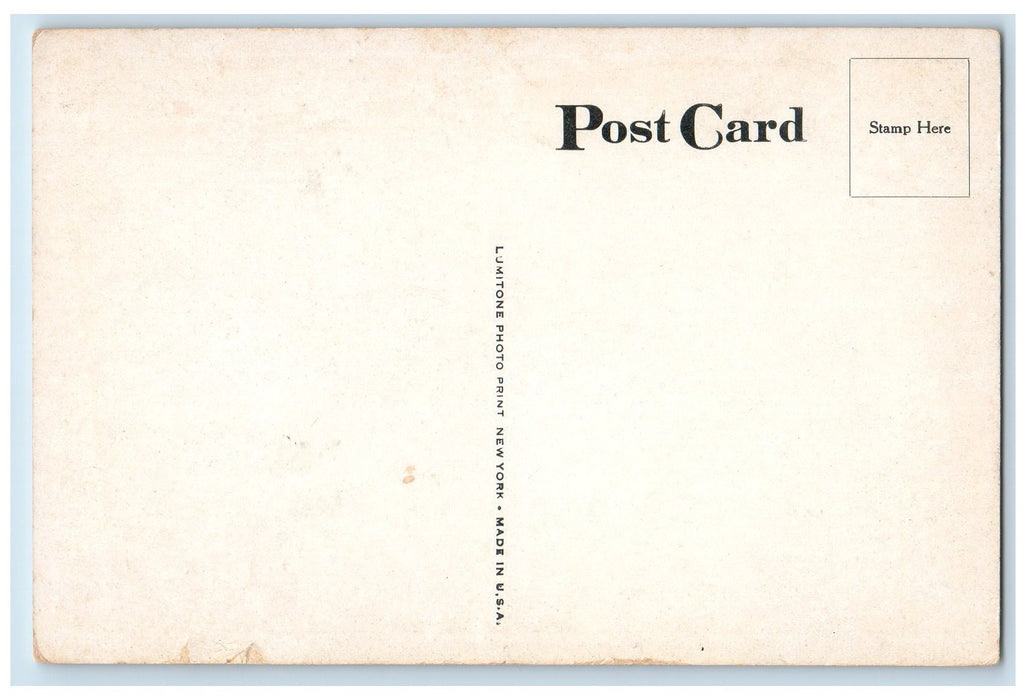 c1920's The Place Bear Mountain Inn Fire Place Interior Unposted Lodge Postcard