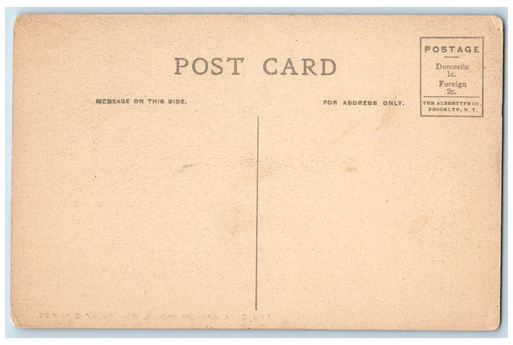c1910's Tau Zeta Epsilon House Wellesley College Massachusetts Unposted Postcard
