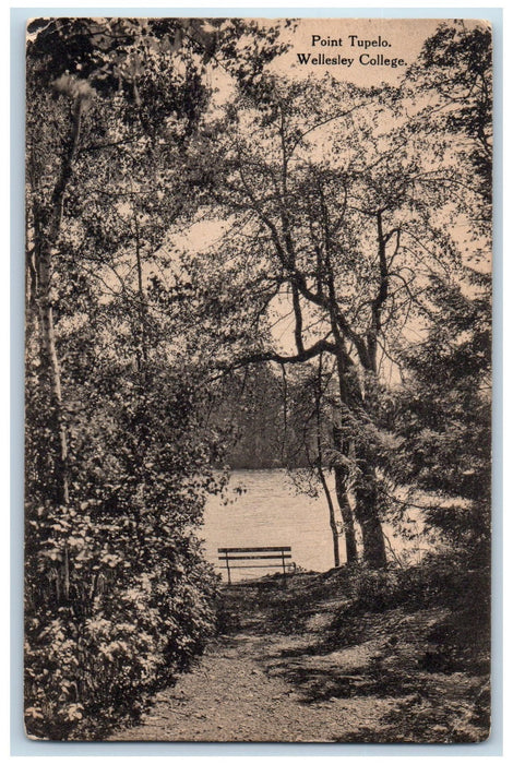 c1910's Point Tupelo Lake Wellesley College Massachusetts MA Unposted Postcard