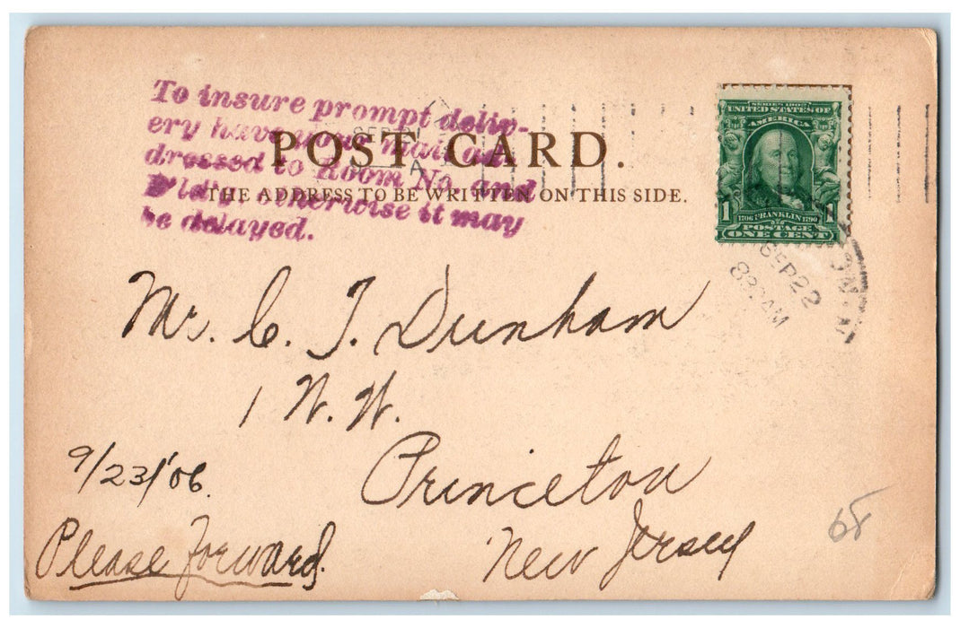 1907 The Pines Mount Hermon Massachusetts MA Posted Vintage Pine Trees Postcard
