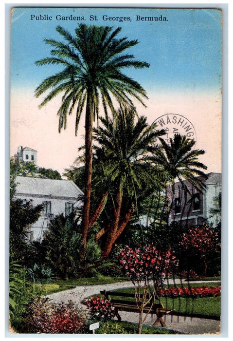 1936 Public Gardens Park Tree Nature Scene St. George Bermuda Vintage Postcard