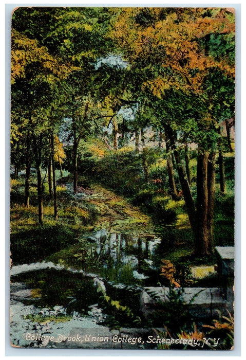 1909 College Brook Union College Nature Scene Schenectady New York NY Postcard
