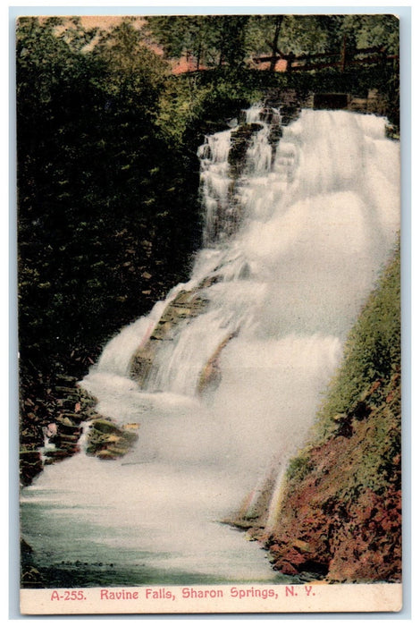 1909 Scenic View Of Ravine Water Falls Sharon Springs New York NY Postcard