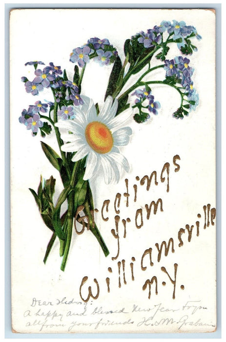 1907 Greetings From Williamsville New York NY, Pansies Flower Scene Postcard