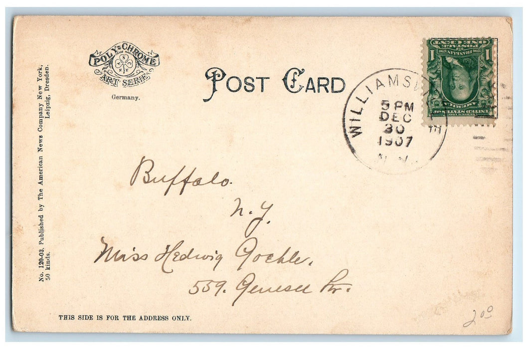 1907 Greetings From Williamsville New York NY, Pansies Flower Scene Postcard