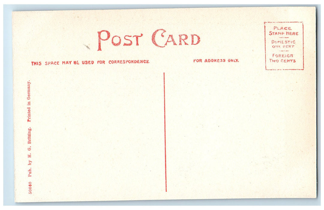 c1910's High School Williamsville New York NY Antique Unposted Postcard
