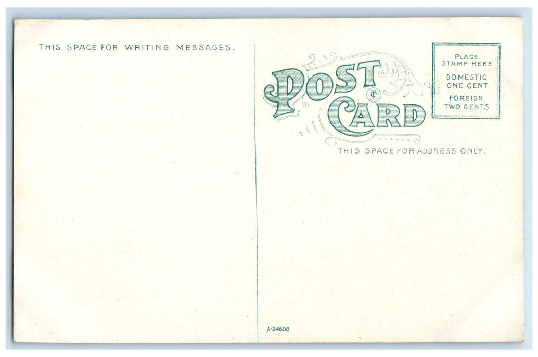 c1910's D S Morgan Building Horse Cars Buffalo New York NY Antique Postcard