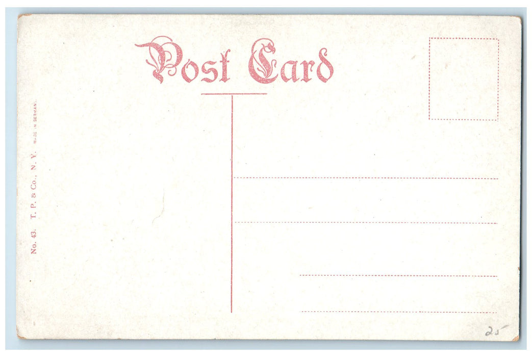 c1910's St. Paul's Church Prudential Building Buffalo New York NY Postcard