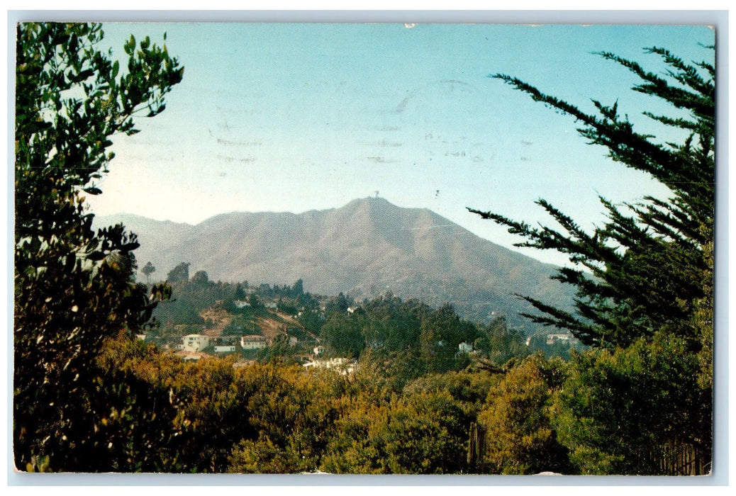 1959 Mount Tamalpais Hiking Trails And Redwood Trees California Posted Postcard