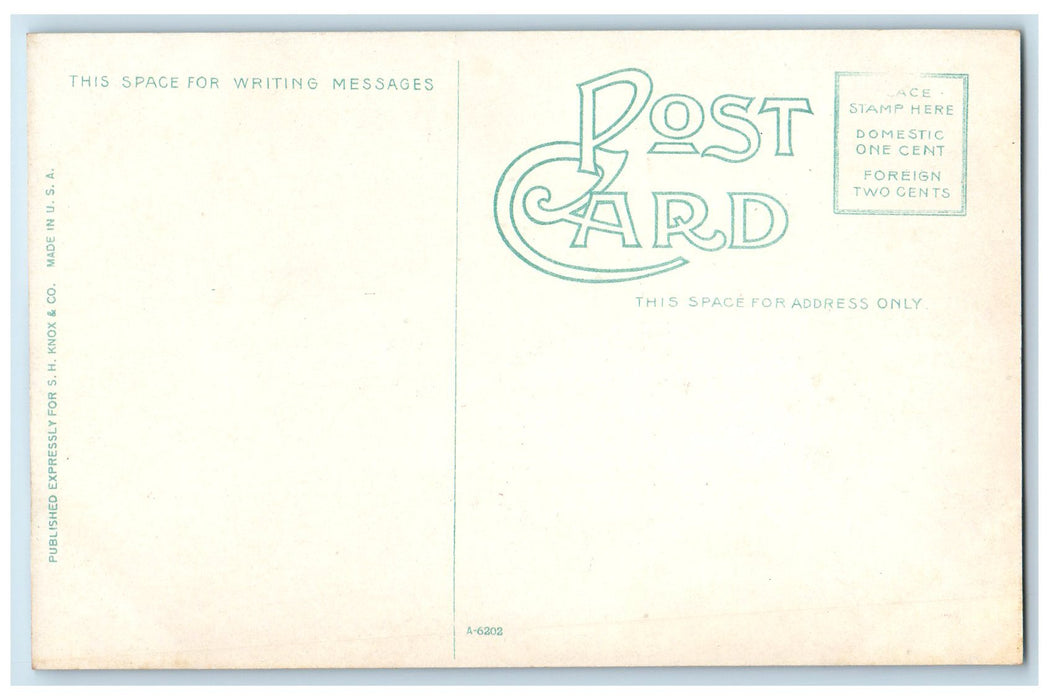 c1910's Island Club Grand Island Sportsmen Fishing Buffalo New York NY Postcard