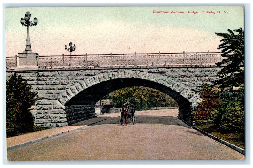 c1910 Elm Wood Bridge Horse Transportation Buffalo New York NY Unposted Postcard