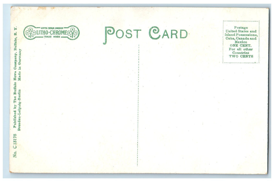 c1910 Elm Wood Bridge Horse Transportation Buffalo New York NY Unposted Postcard