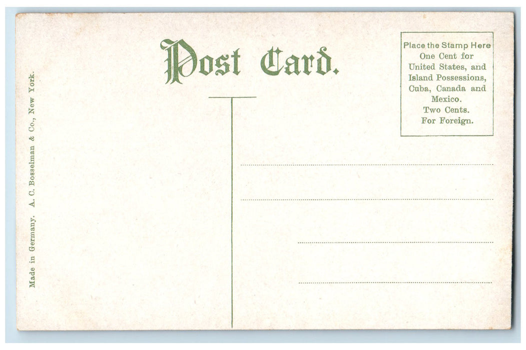 c1910 University Of Buffalo Medical Dept. Buffalo New York NY Unposted Postcard