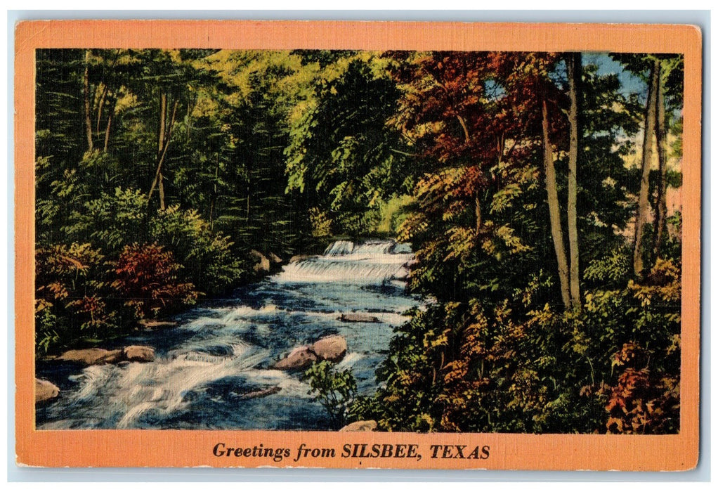 1944 Greetings From Silsbee Texas River Flowing Forest Nature View TX Postcard