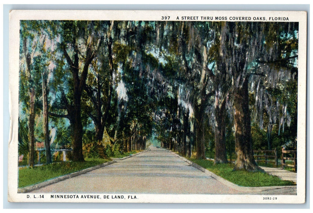 View Of A Street Thru Moss Covered Oaks Minnesota Avenue DeLand FL Postcard