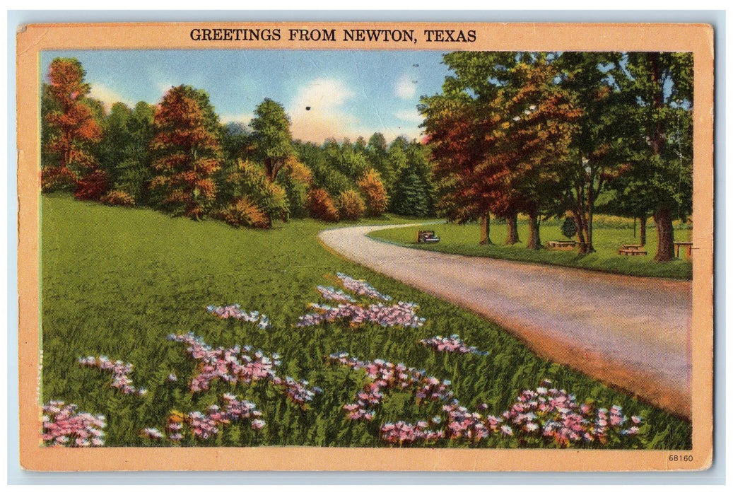 1955 Greetings From Newton Texas Dirt Road Bench Trees Forest TX Postcard