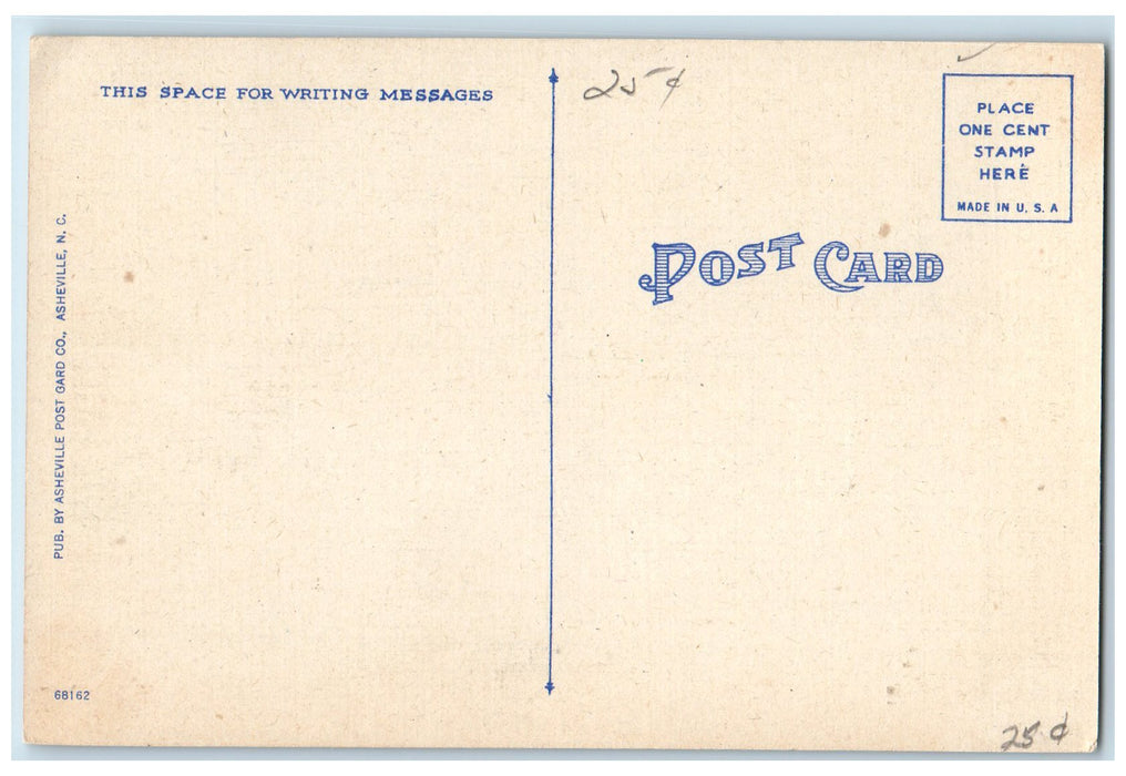 c1920's Greetings From Lexington Zigzag Road Forest South Carolina SC Postcard
