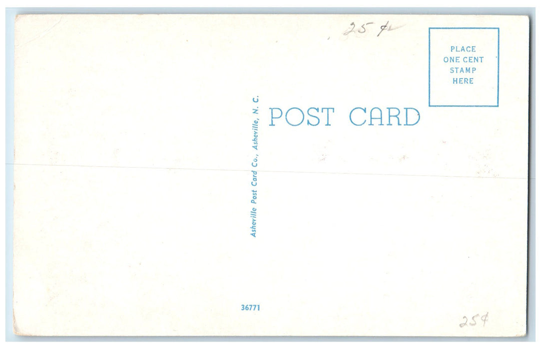 c1920's Lake Lure Beauty Spot Lake Boating Western North Carolina NC Postcard