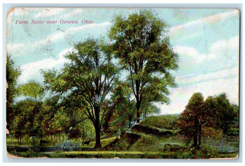 1908 Farm Scene Animals Trees Hills Forest Views Near Geneva Ohio OH Postcard