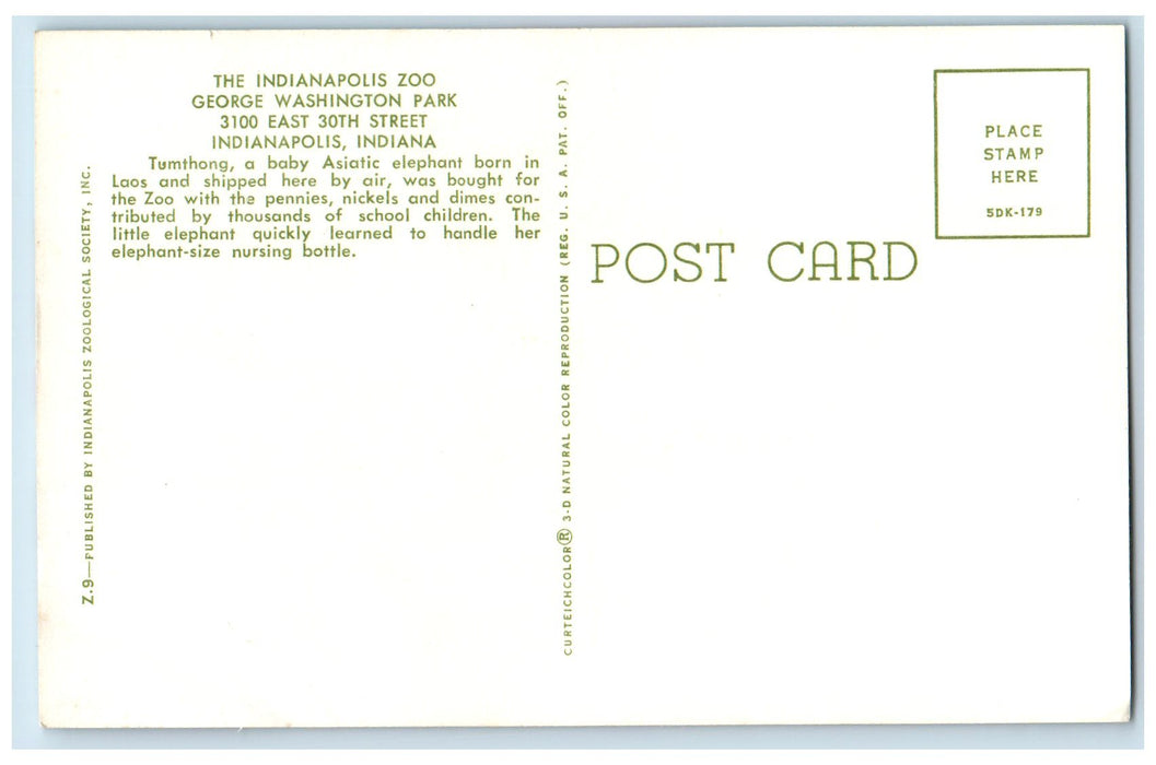 The Indianapolis Zoo George Washington Park Indiana IN, Elephant Scene Postcard