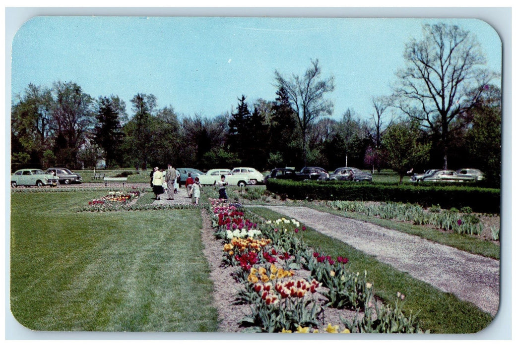 Holliday Park Botanical Garden Native Tree Shrubs Indianapolis IN Postcard