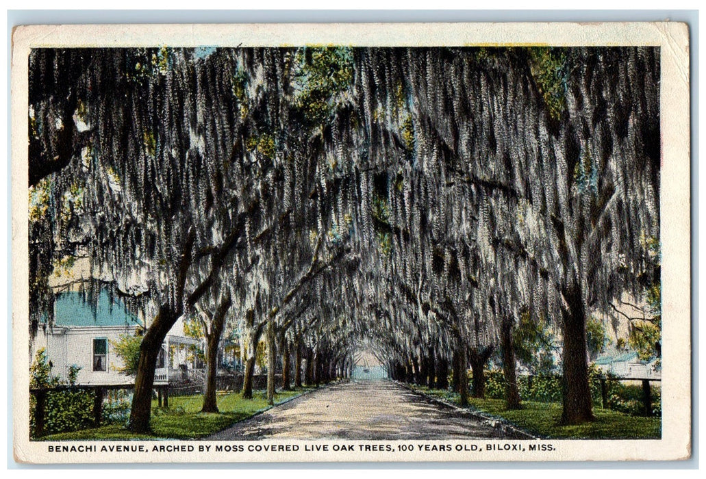 1921 Benachi Avenue Arched By Moss Covered Biloxi Mississippi MS Posted Postcard
