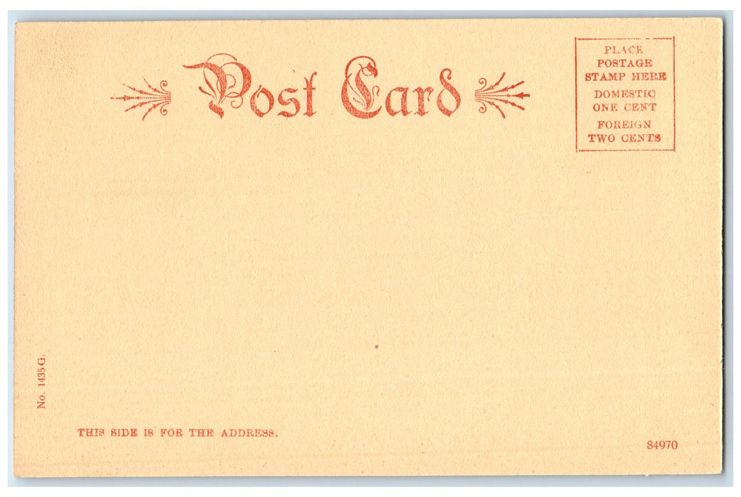 c1905's Grape Creek Canon And Webster View Park Canon City Colorado CO Postcard