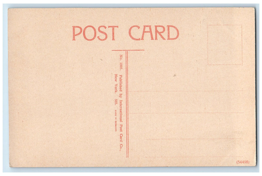 c1910's A Row Of Oleanders Flowers Galveston Texas TX Unposted Vintage Postcard