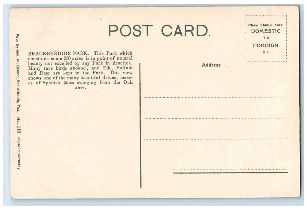 c1910s Driveway In Brackenridge Wagon San Antonio Park Texas TX Vintage Postcard