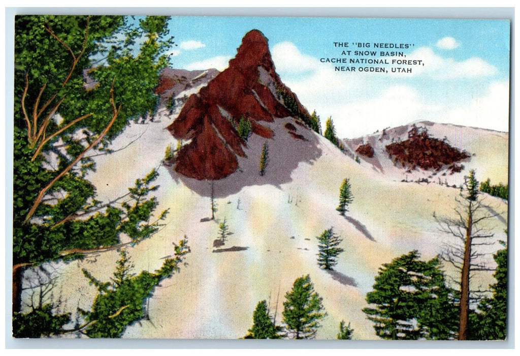 The Big Needless At Snow Basin Cache National Forest Near Ogden Utah UT Postcard