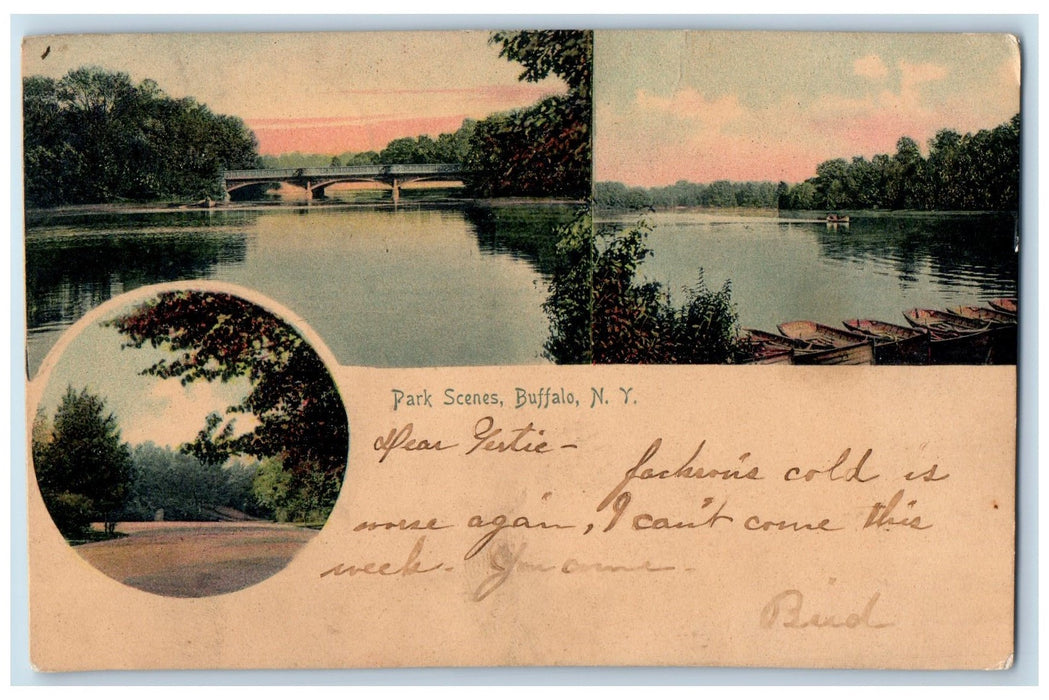 1907 Park Scenes Lake Bridge Boats Dock Forest Buffalo New York NY Postcard