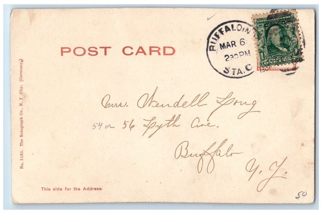 1907 Park Scenes Lake Bridge Boats Dock Forest Buffalo New York NY Postcard
